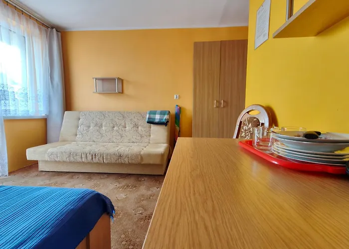 Bryza Проживание в семье