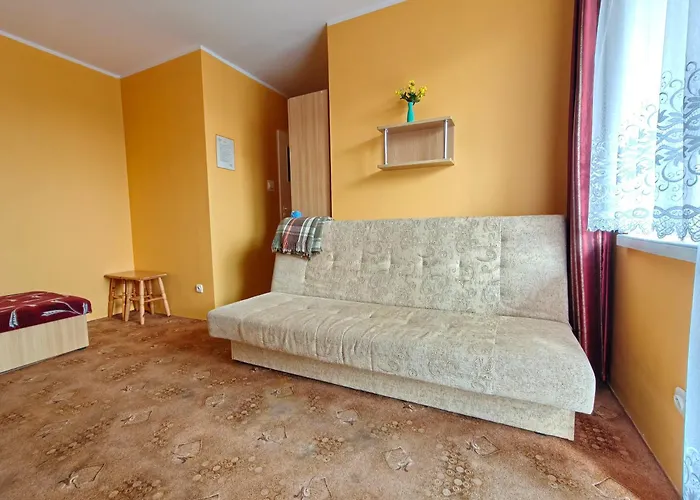 Проживание в семье Bryza *