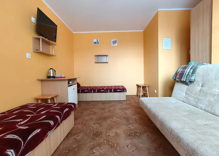 Bryza Проживание в семье