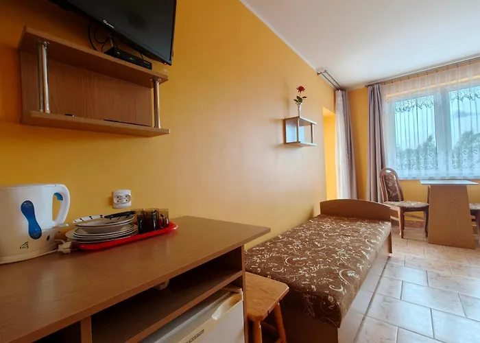 Bryza Проживание в семье *